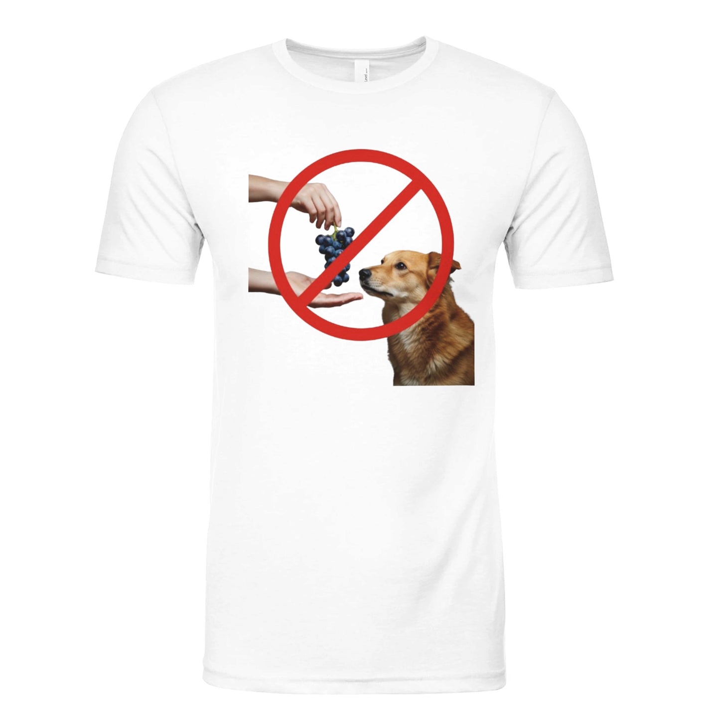 55378267-82ee-4705-a64c-52f204555e77